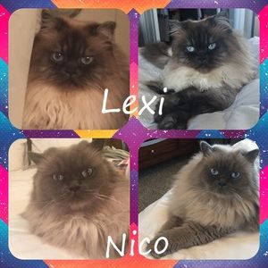 Lexi and Nico